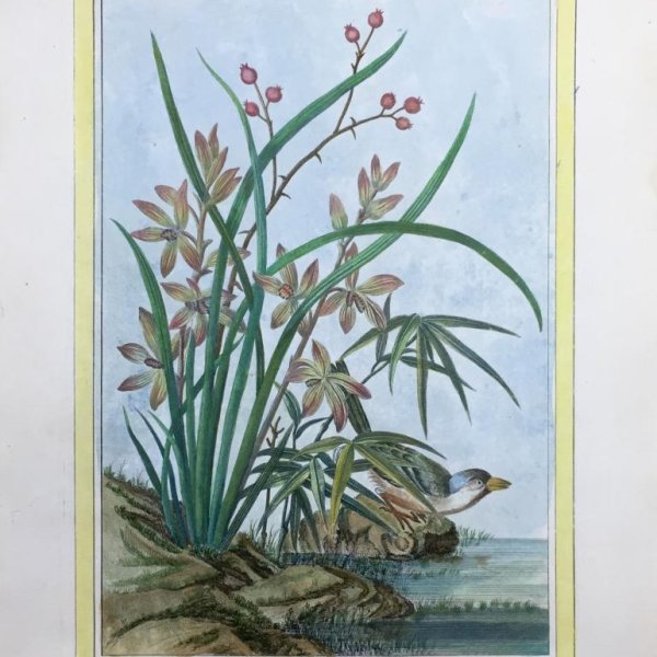 BUC'HOZ Pierre-Joseph