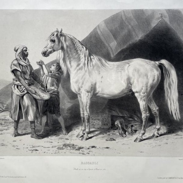 LALAISSE François Hippolyte