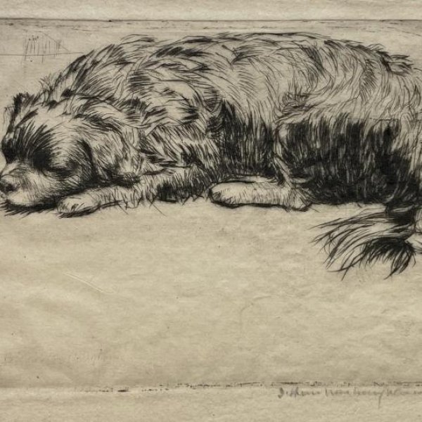 MAC LAUGHLAN Donald Shaw