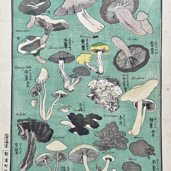 MEIJI JAPANESE SCHOOL