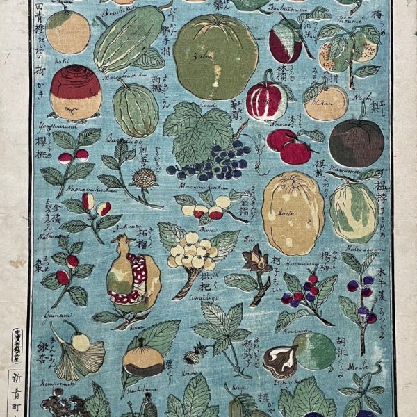 MEIJI JAPANESE SCHOOL