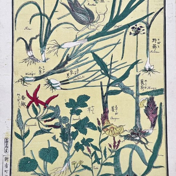 MEIJI JAPANESE SCHOOL