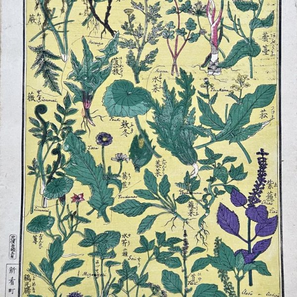 MEIJI JAPANESE SCHOOL