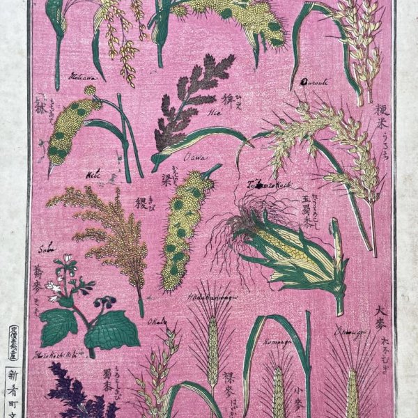 MEIJI JAPANESE SCHOOL