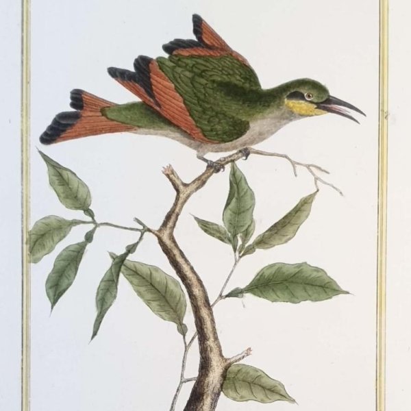 MARTINET, François Nicolas