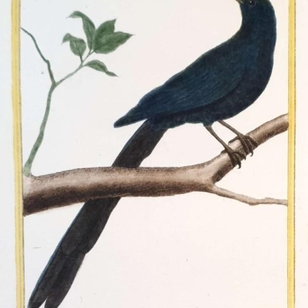 MARTINET, François Nicolas