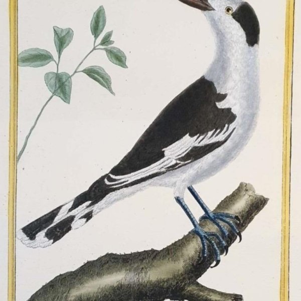 MARTINET, François Nicolas