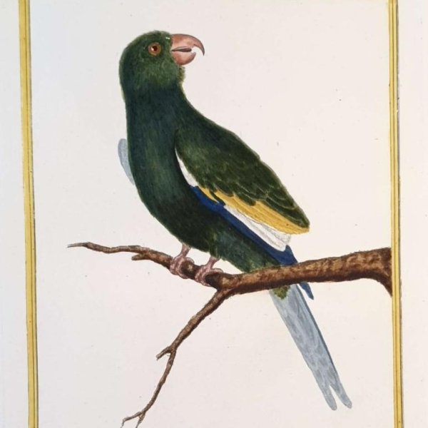 MARTINET, François Nicolas