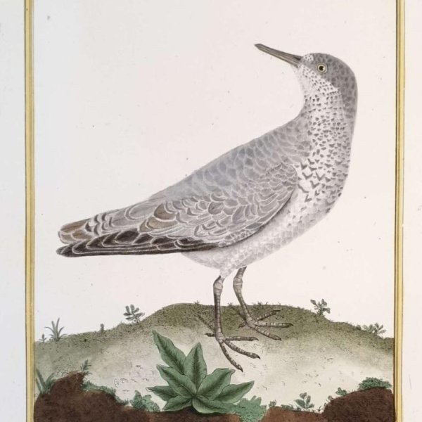 MARTINET, François Nicolas