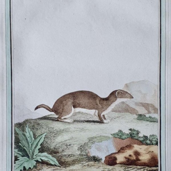 MARTINET, François Nicolas