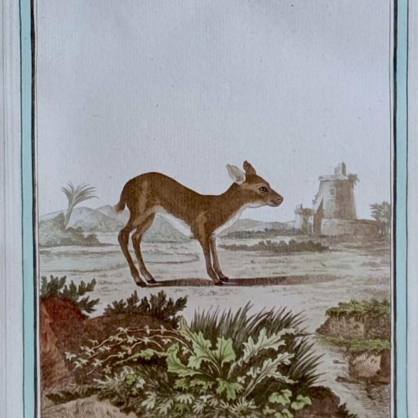 MARTINET, François Nicolas