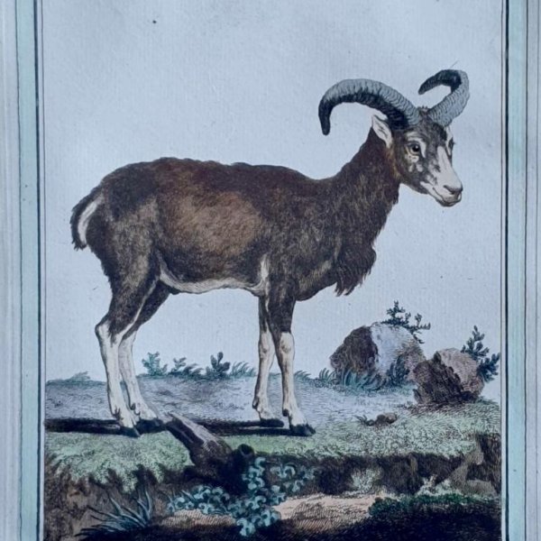 MARTINET, François Nicolas