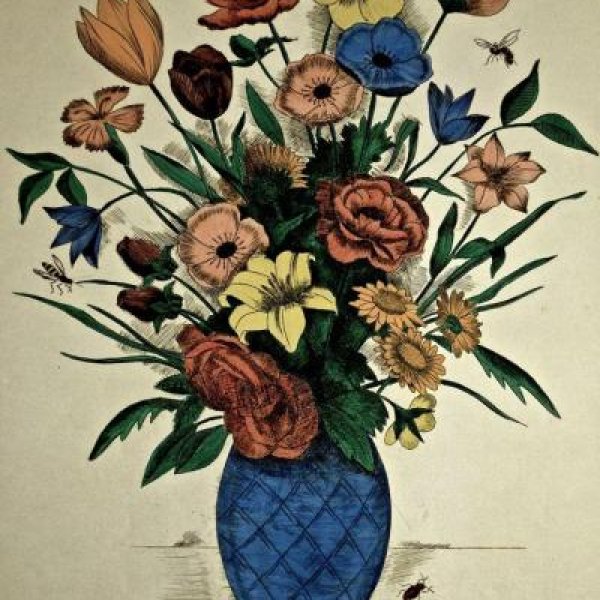 MORIN-JEAN, Jean Alexis Morin dit