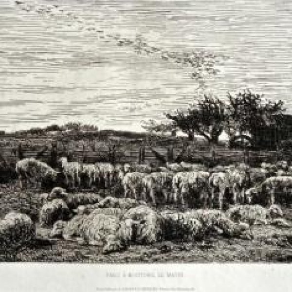 DAUBIGNY Charles François