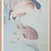 KOSON Ohara