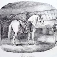 GÉRICAULT Théodore