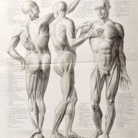LEGRAND Augustin Claude