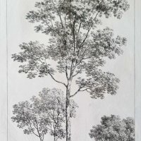 COUCHÉ Jacques
