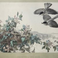 SCHULLER Joseph Carl Paul