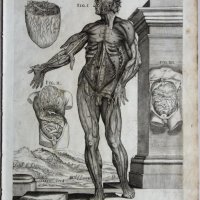 CORTONE Pierre de (d'après)