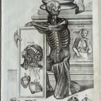 CORTONE Pierre de (d'après)