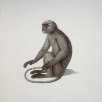 AUDEBERT Jean-Baptiste