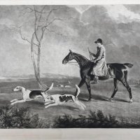 WHISTON BARNEY William