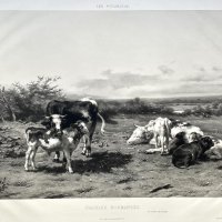 SOULANGE-TEISSIER Louis-Emmanuel