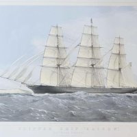 DUTTON Thomas Goldsworth