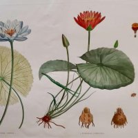 JOMARD Edme-François