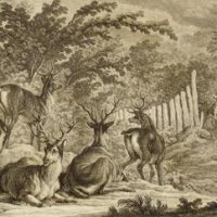 RIDINGER Johann Elias