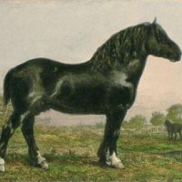 JACQUE Charles Emile