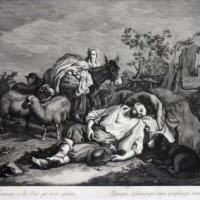 COLLE Pellegrino dall