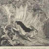 RIDINGER Martin Elias